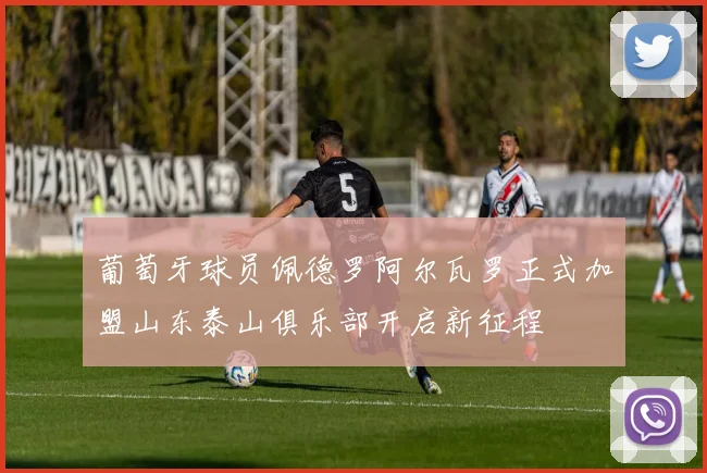 葡萄牙球员佩德罗阿尔瓦罗正式加盟山东泰山俱乐部开启新征程